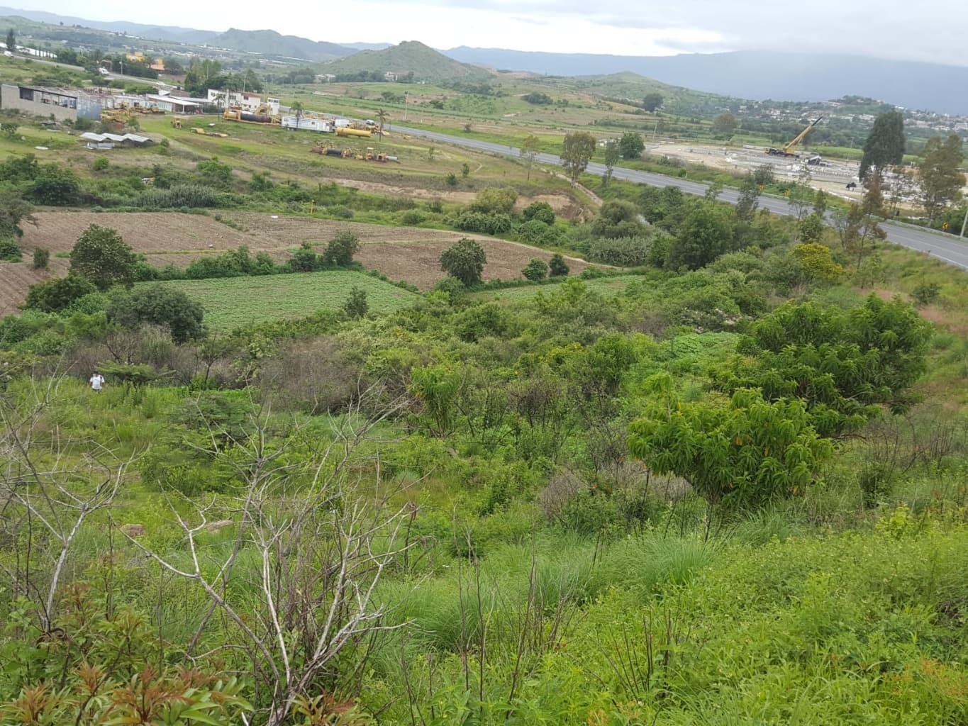 image-7