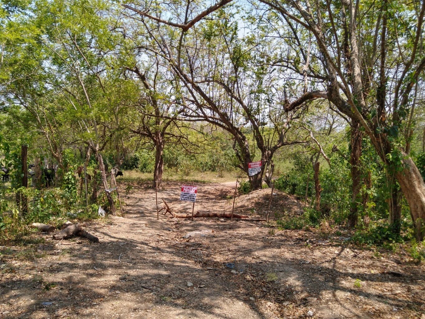 image-4