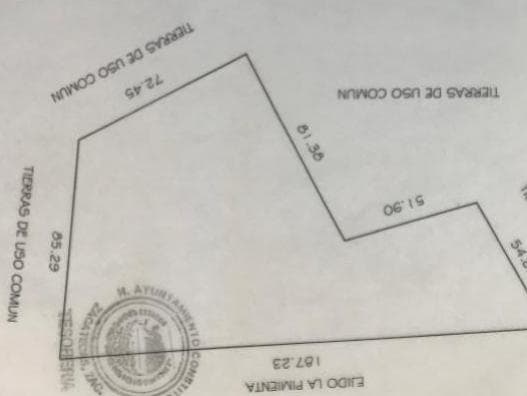 image-0