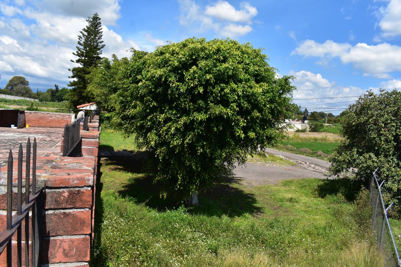 image-10
