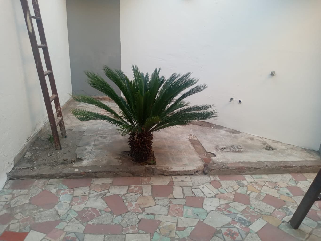 image-3
