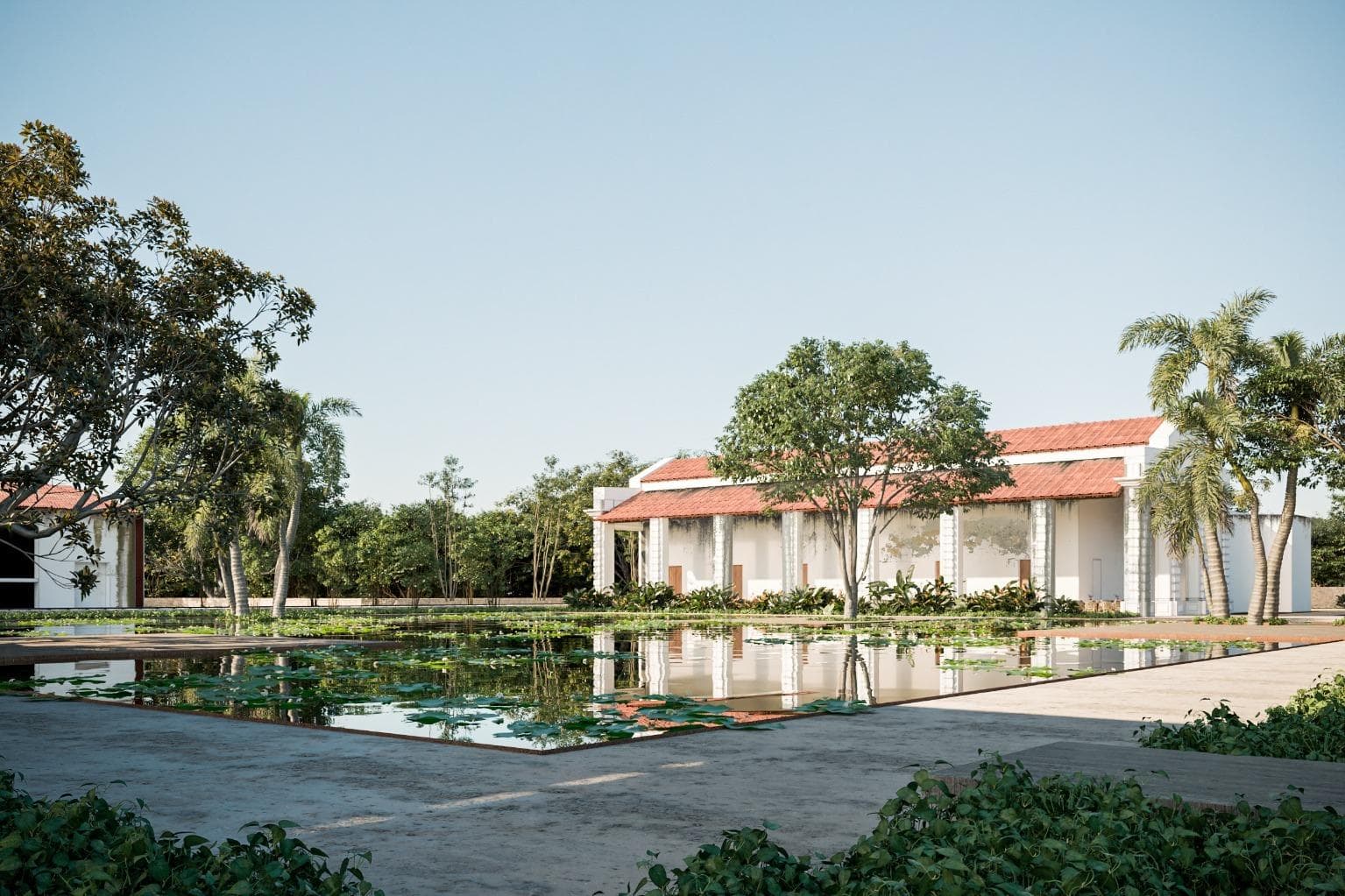 image-0