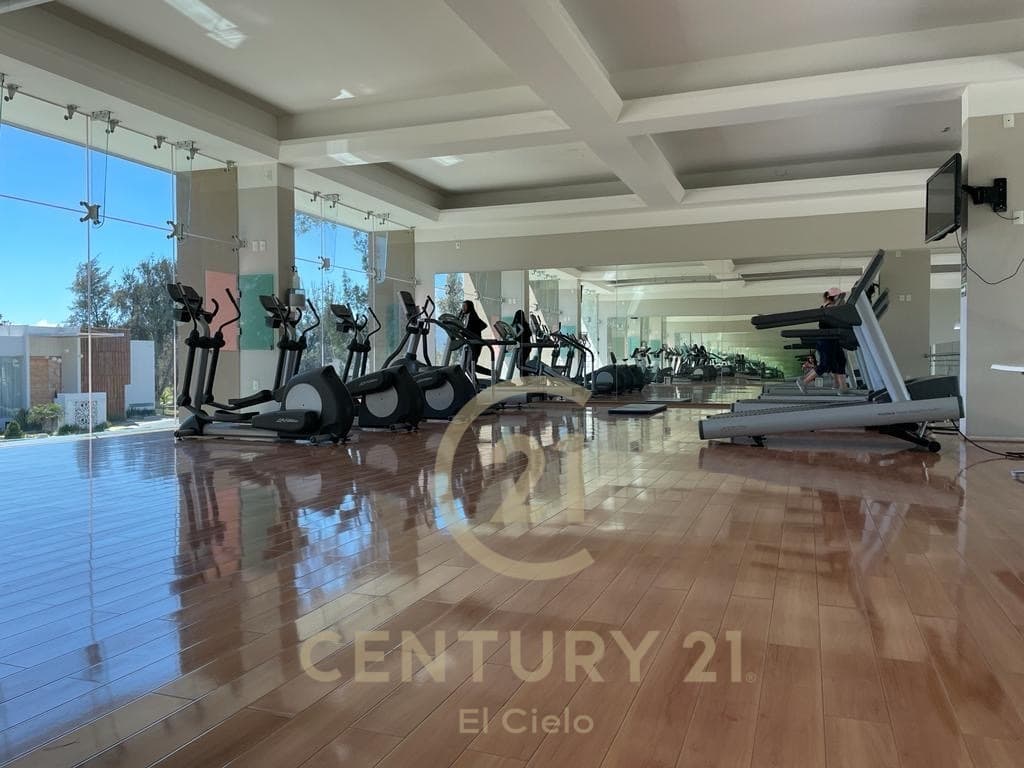image-19