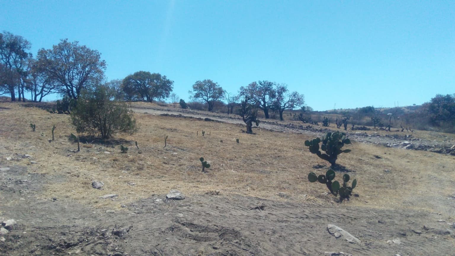 image-14