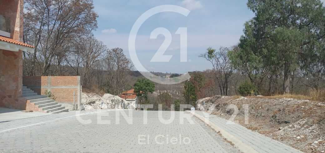 image-5