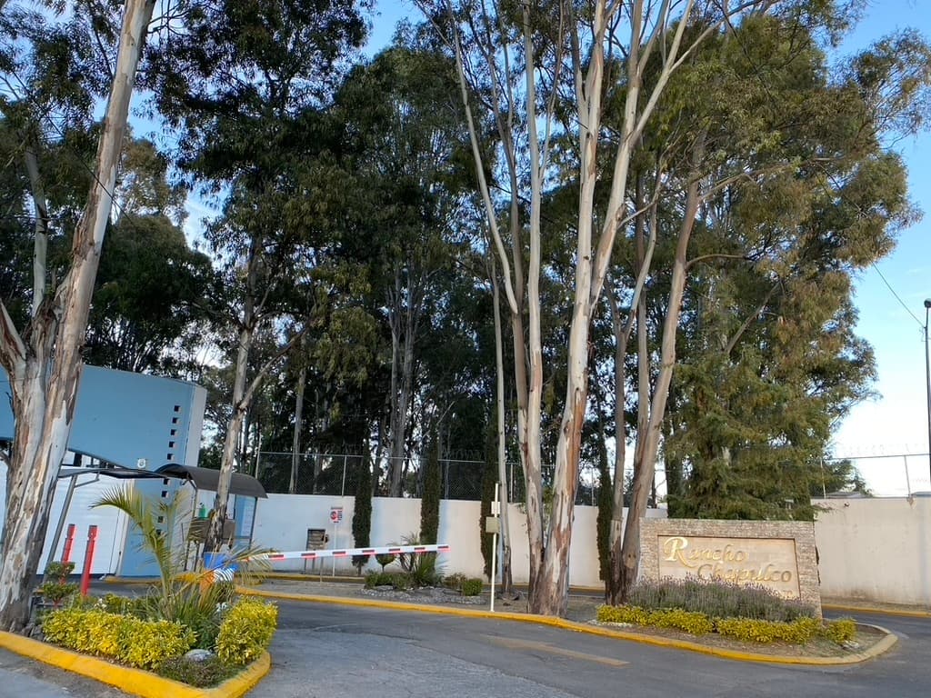 image-0