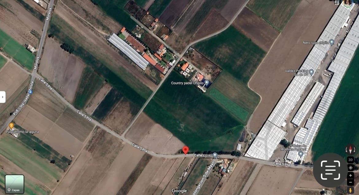 image-7