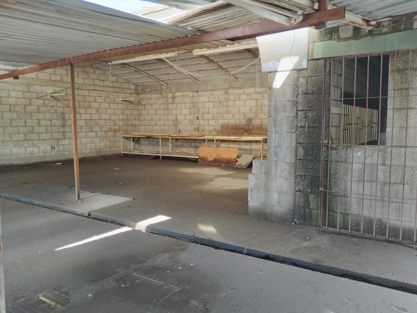 image-5