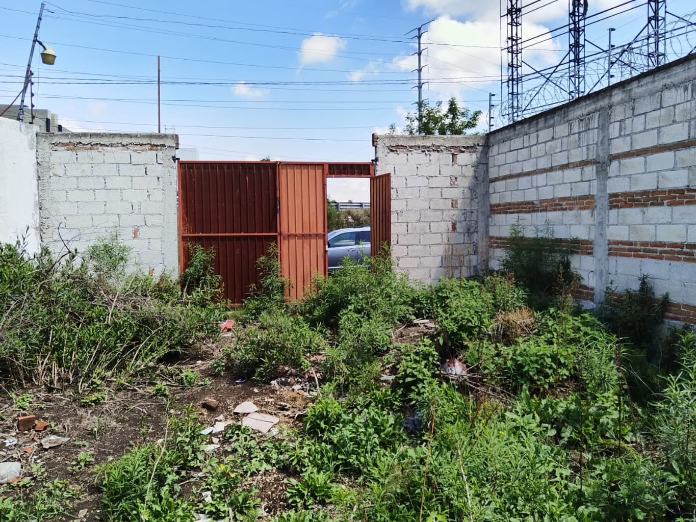 image-3
