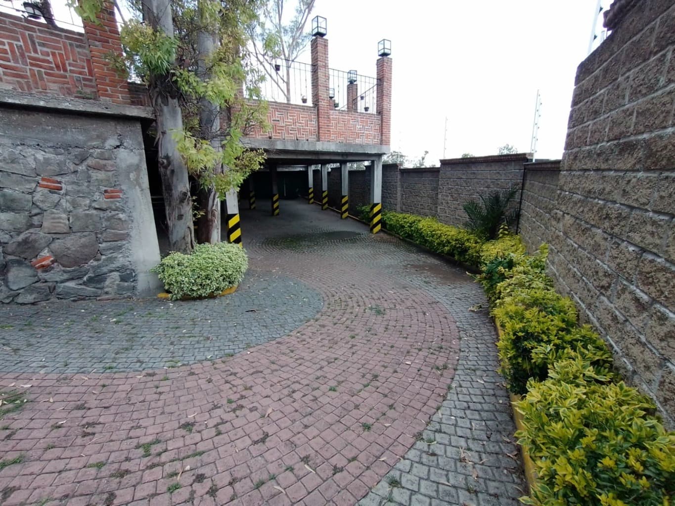 image-7