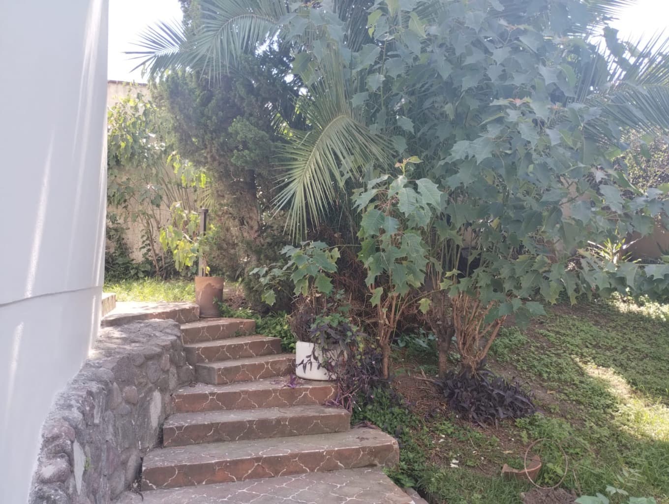 image-37