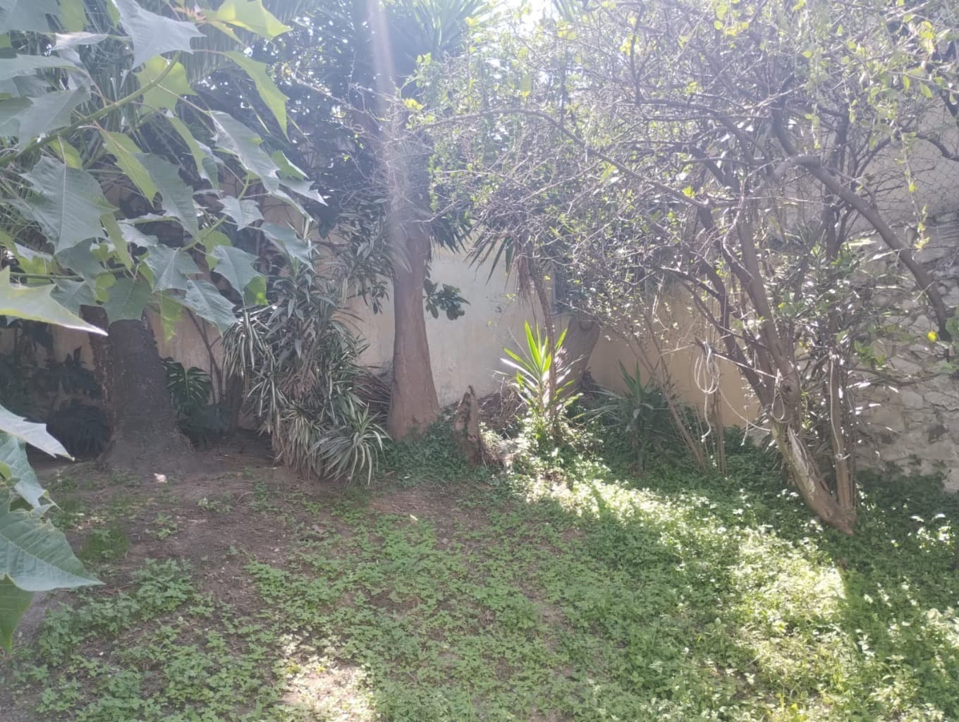 image-35