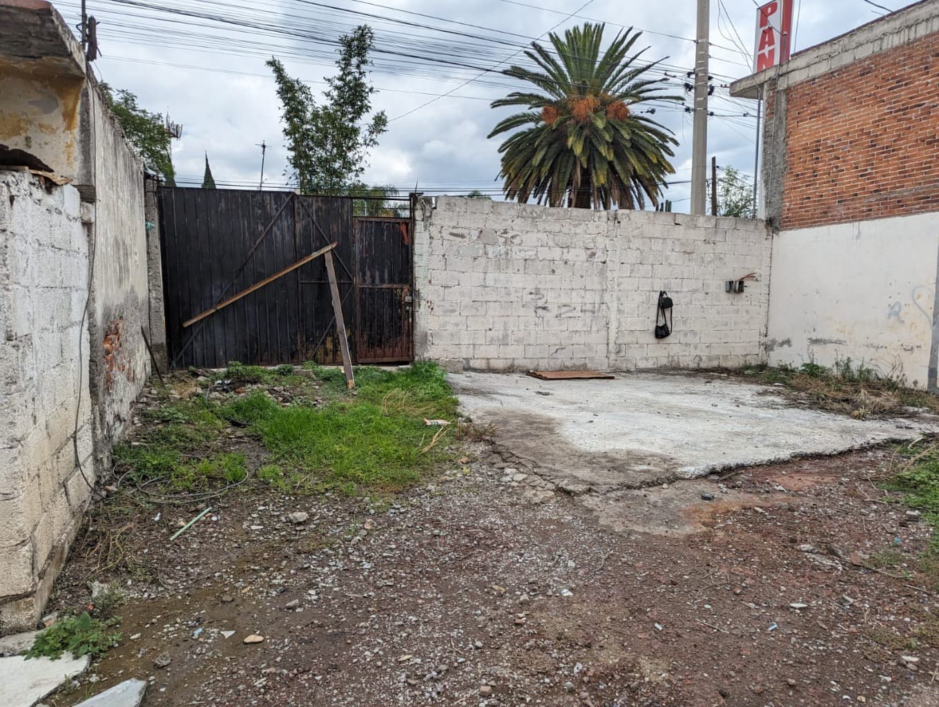 image-7