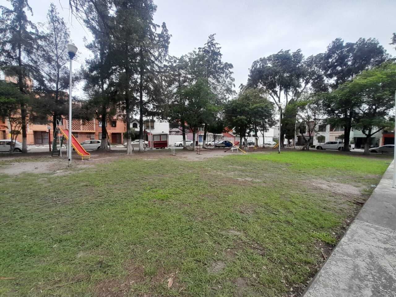 image-19