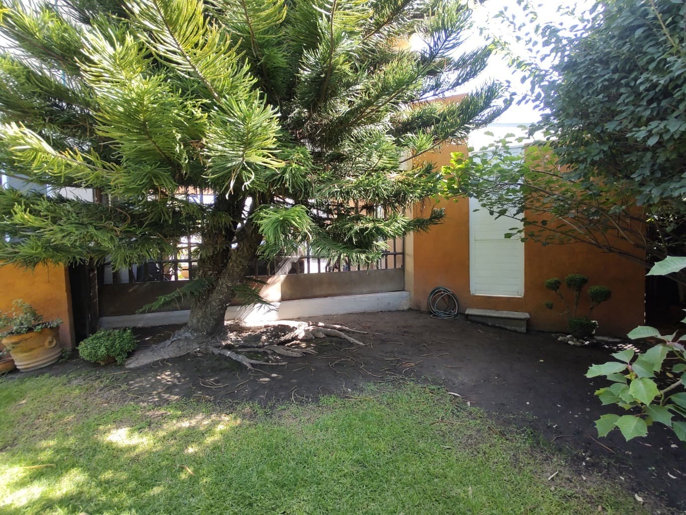 image-20