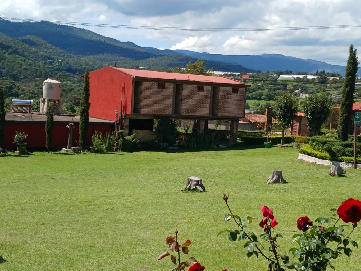 image-4