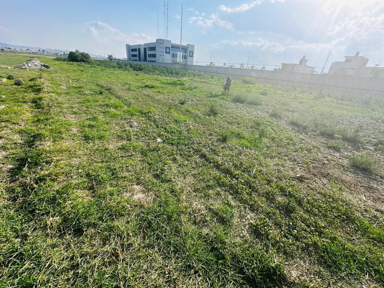image-1