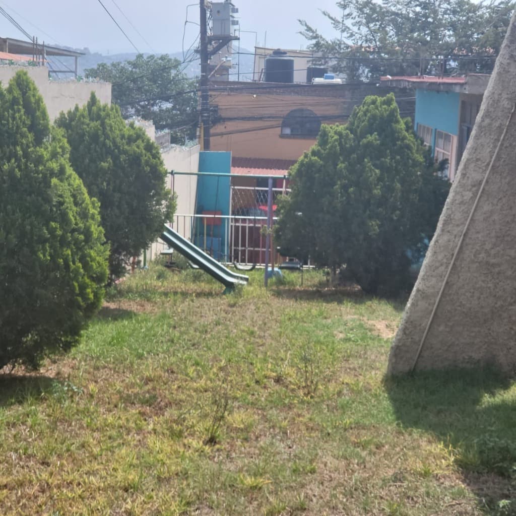 image-19