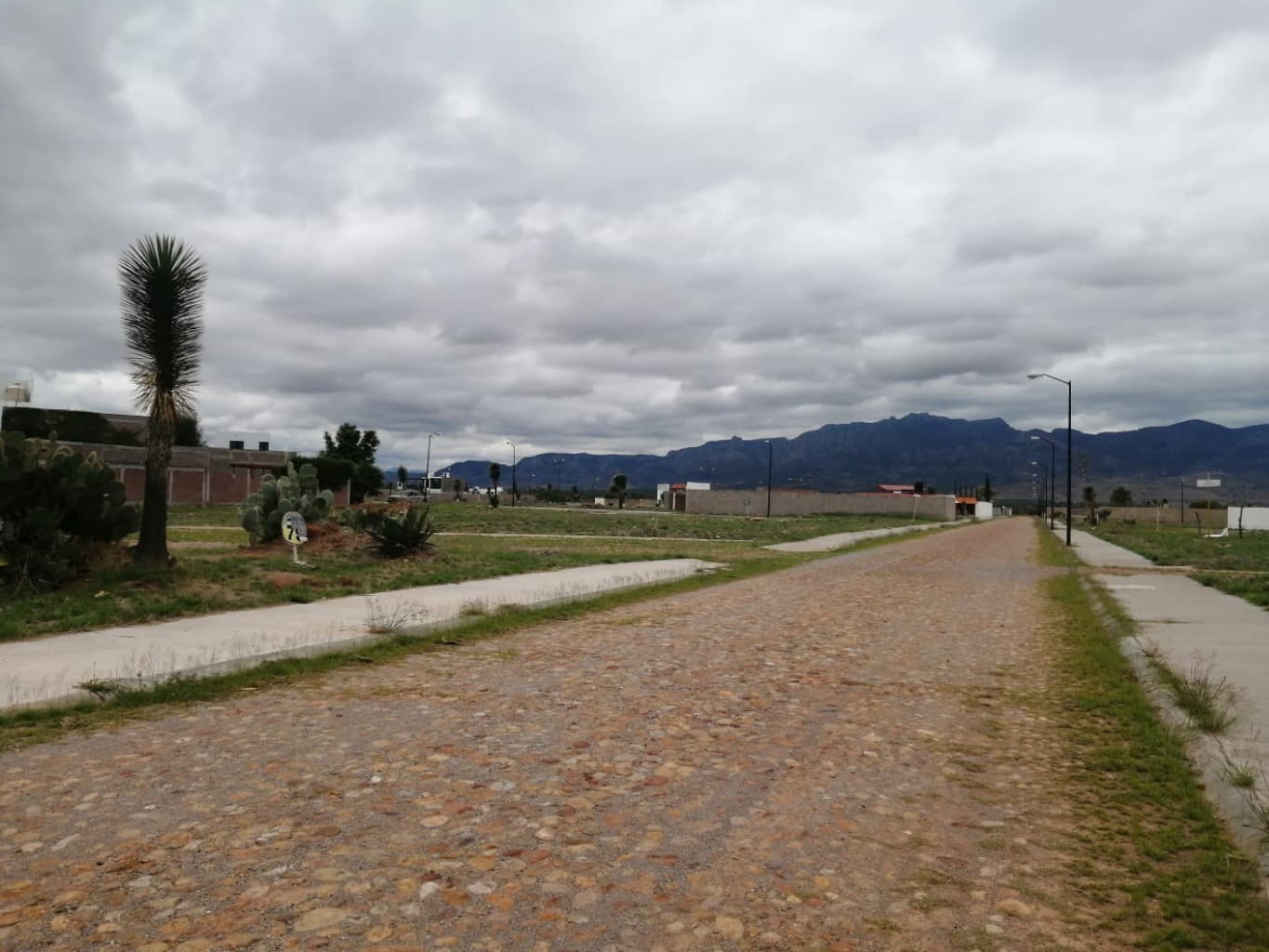 image-0
