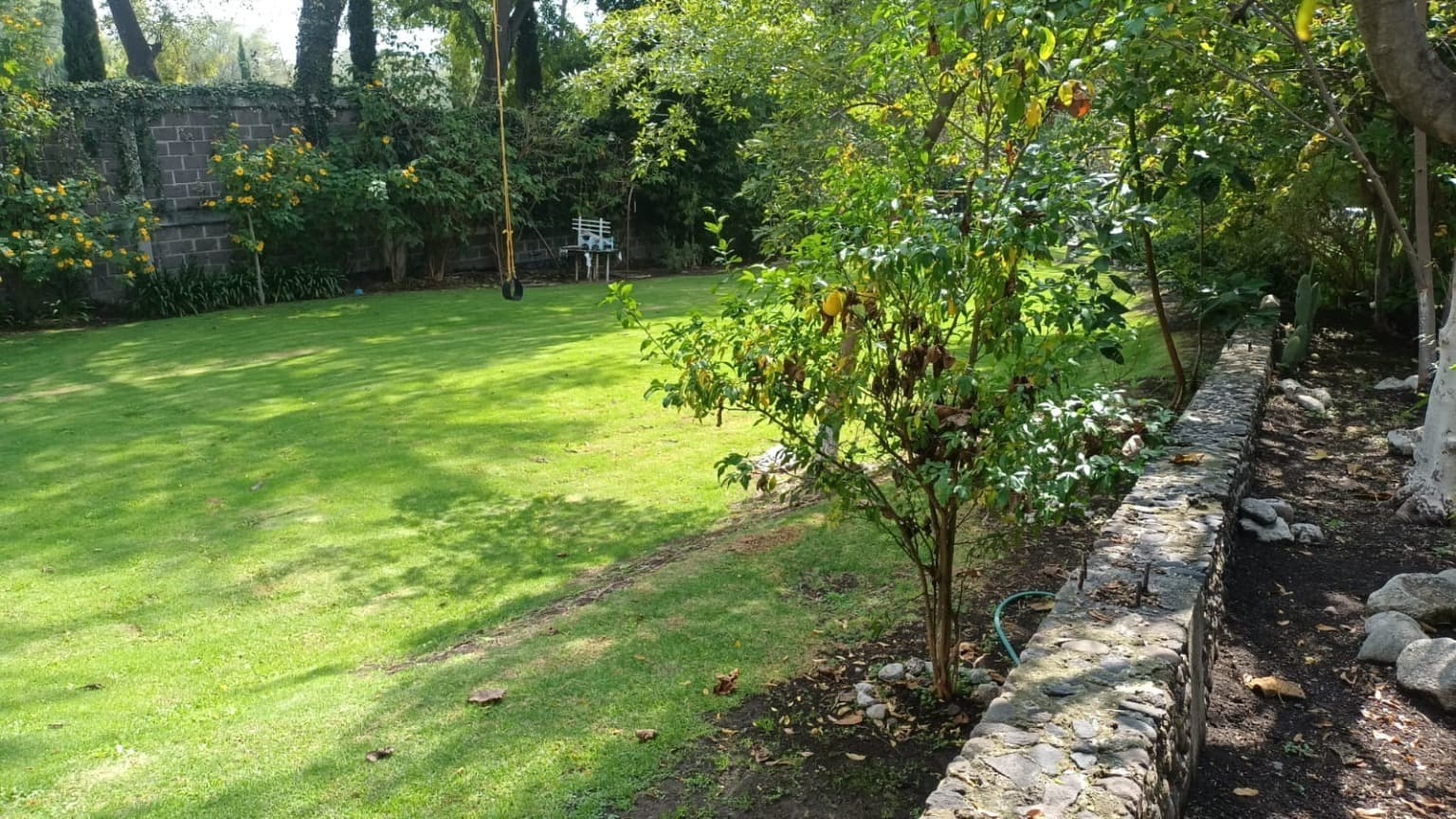 image-18