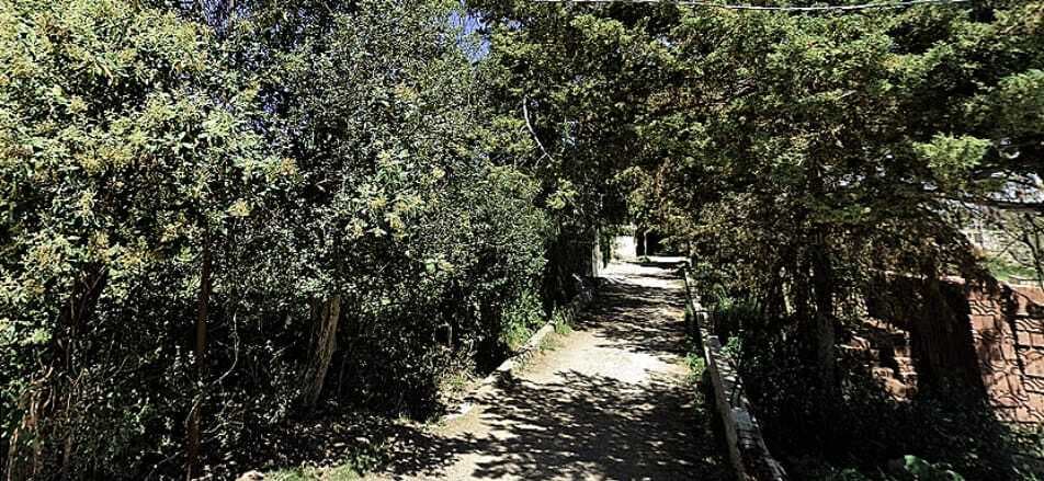 image-8