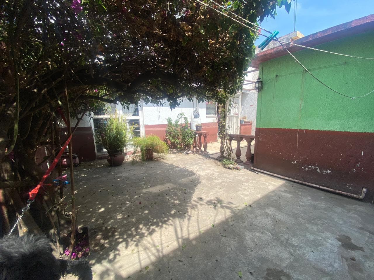 image-26
