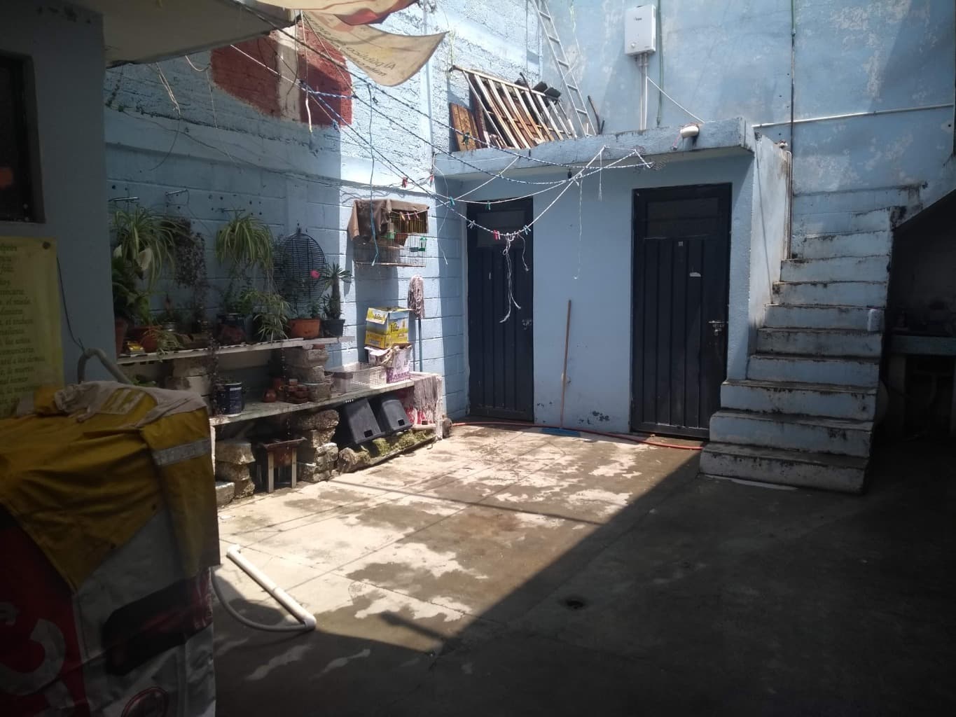 image-6