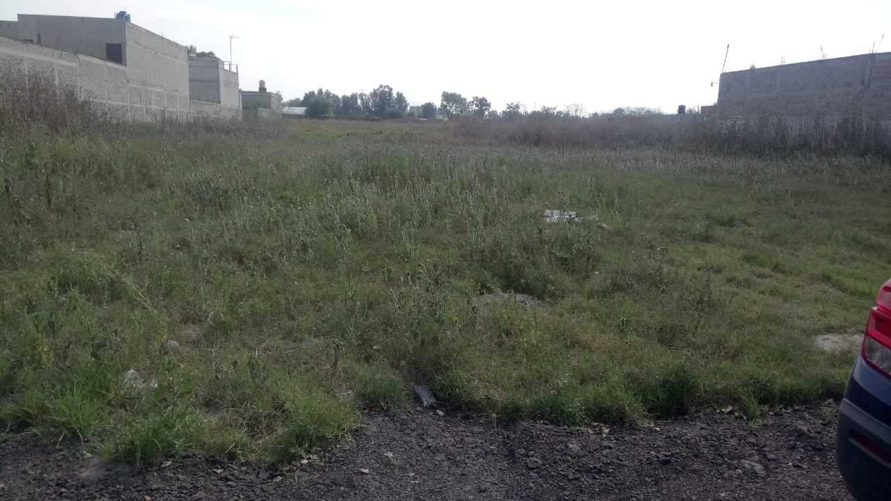 image-0