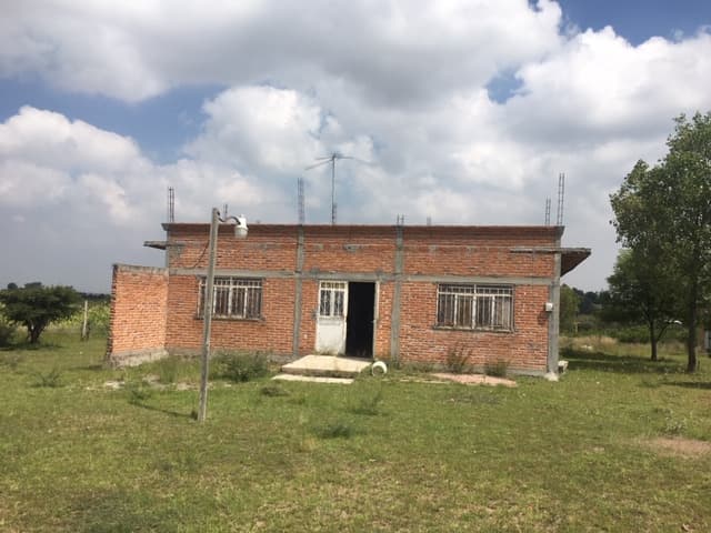 image-0