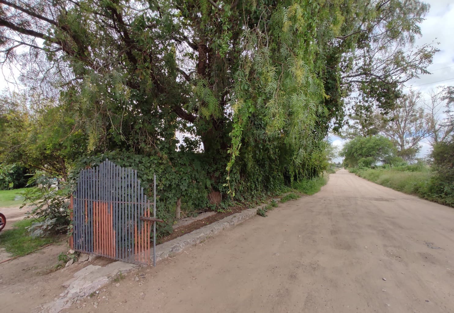 image-6