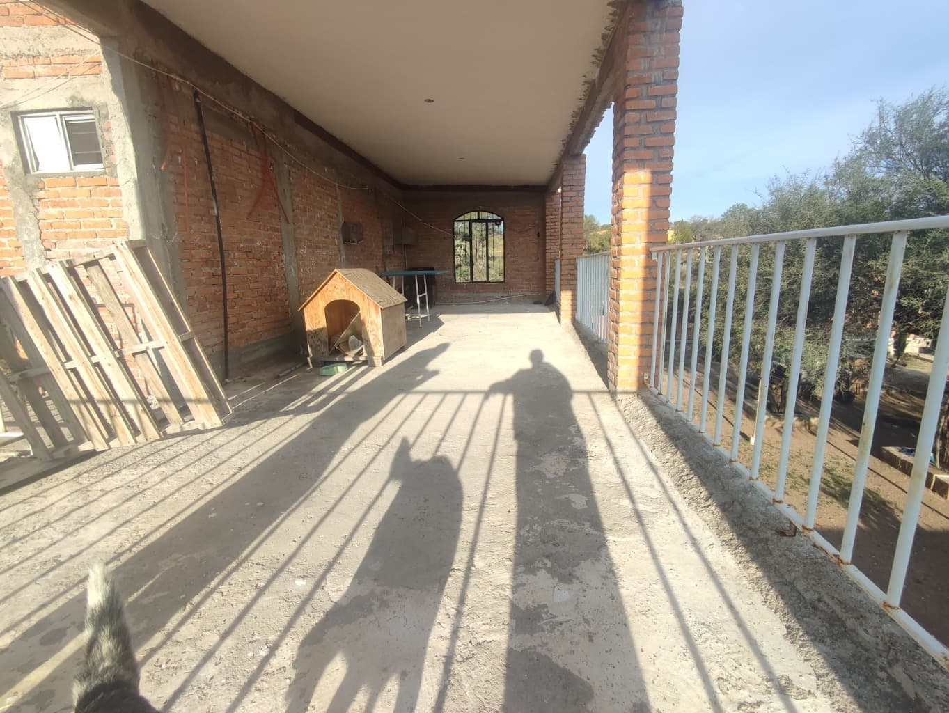 image-16