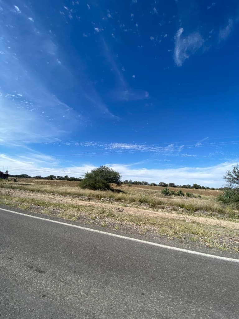 image-0