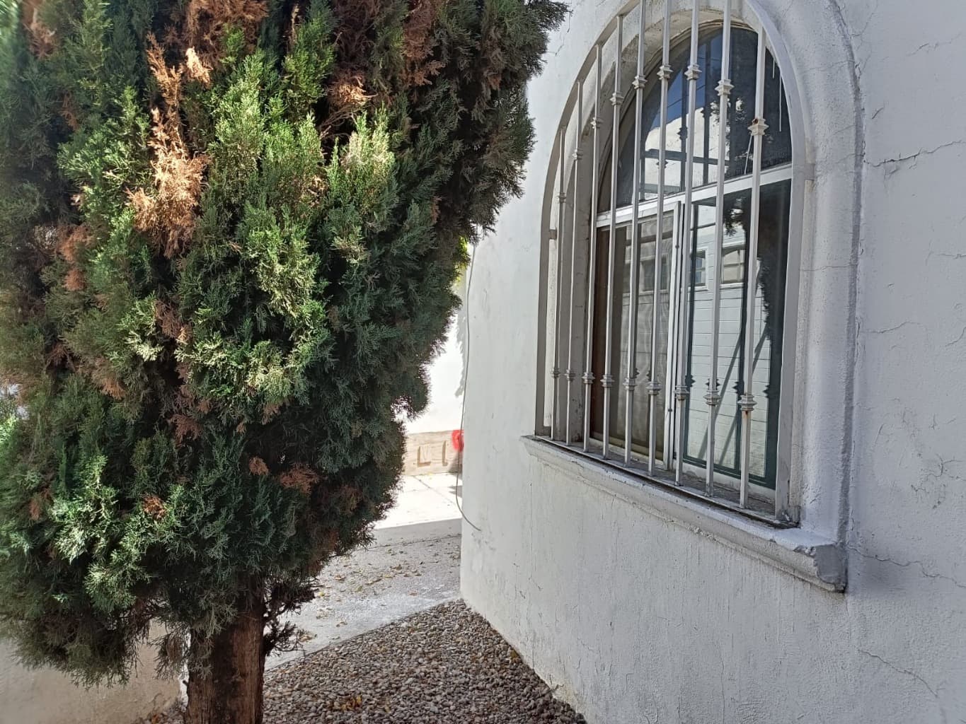 image-3