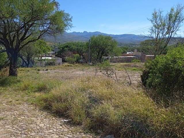 image-14