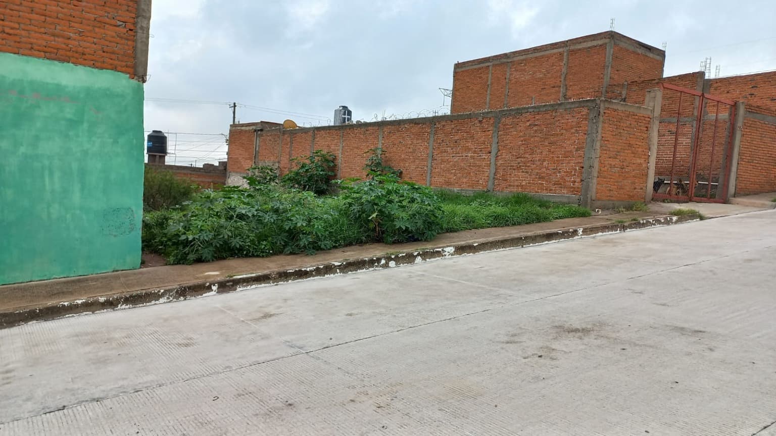 image-3