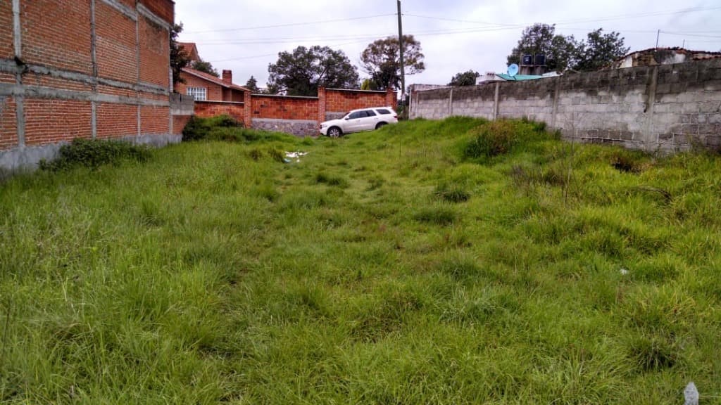 image-0