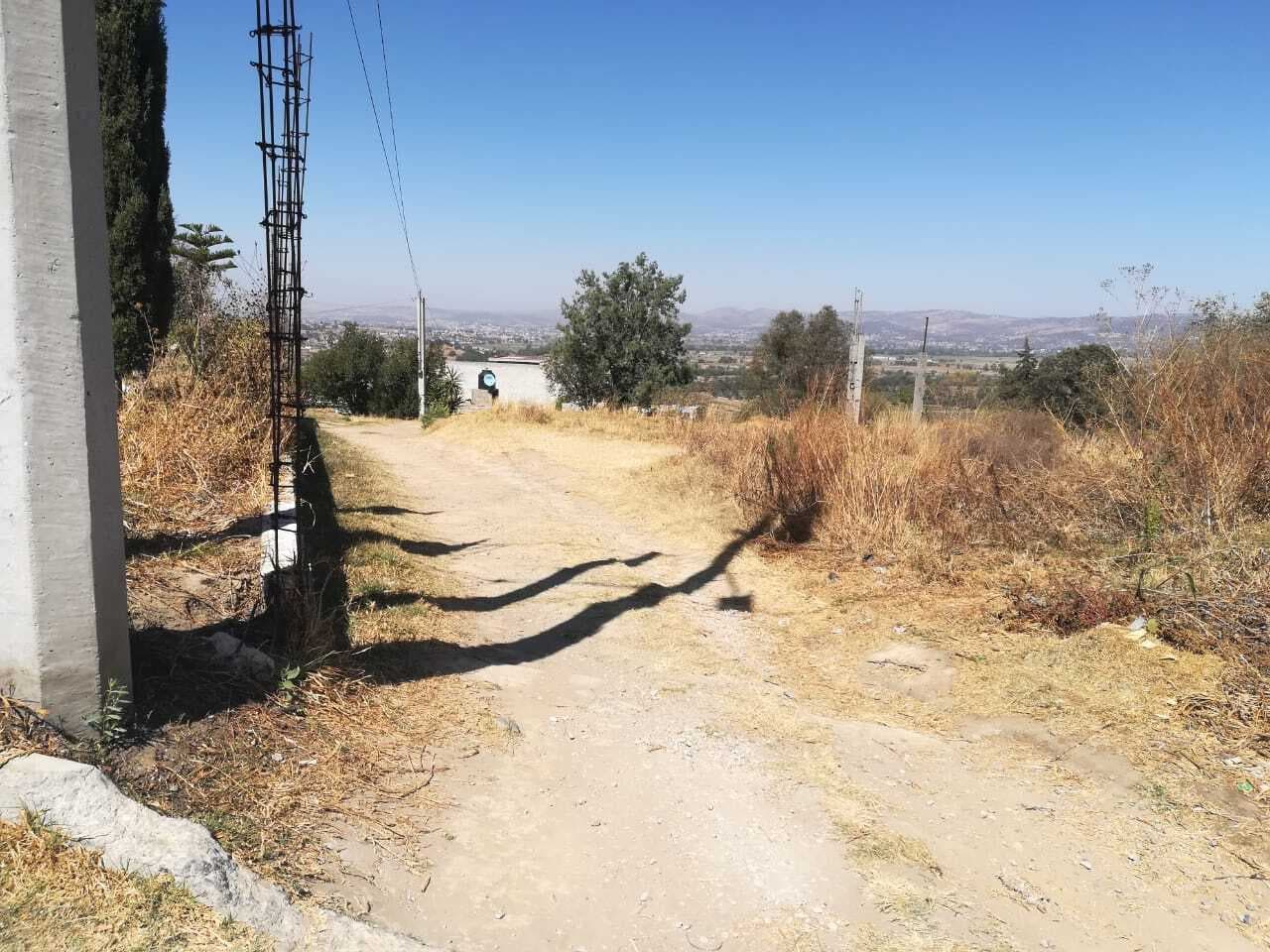 image-0