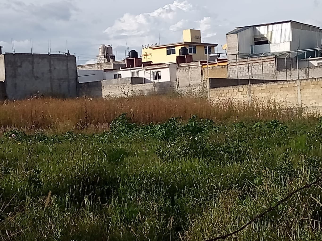 image-0