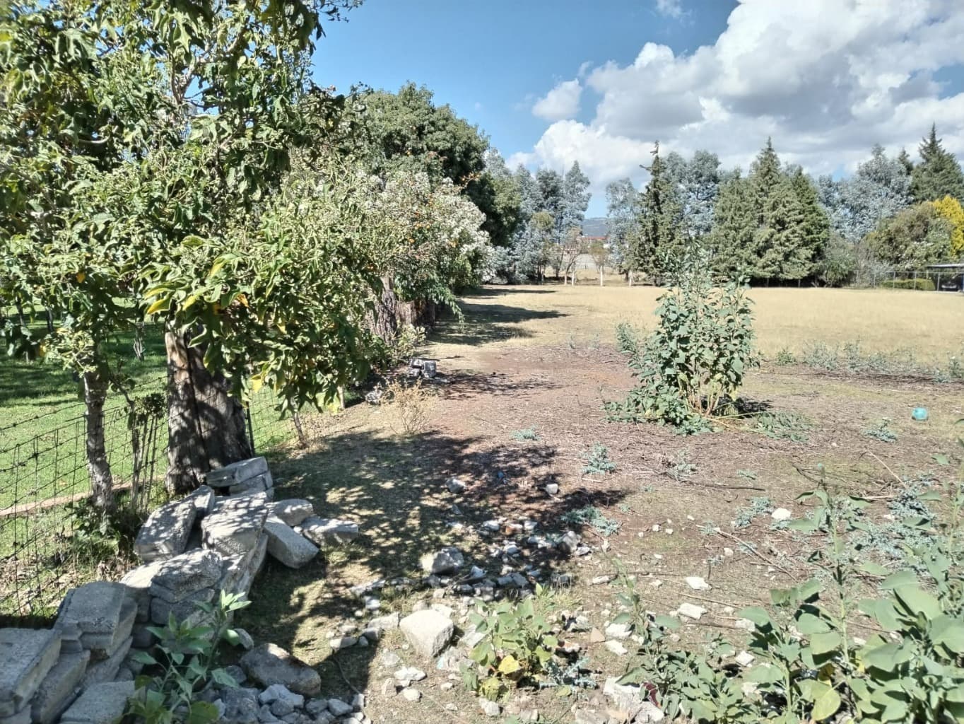 image-0