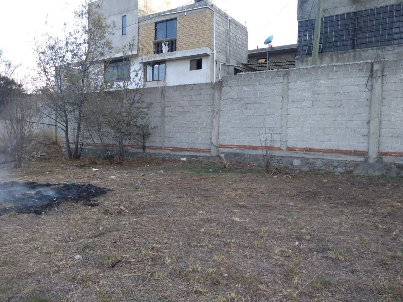 image-2