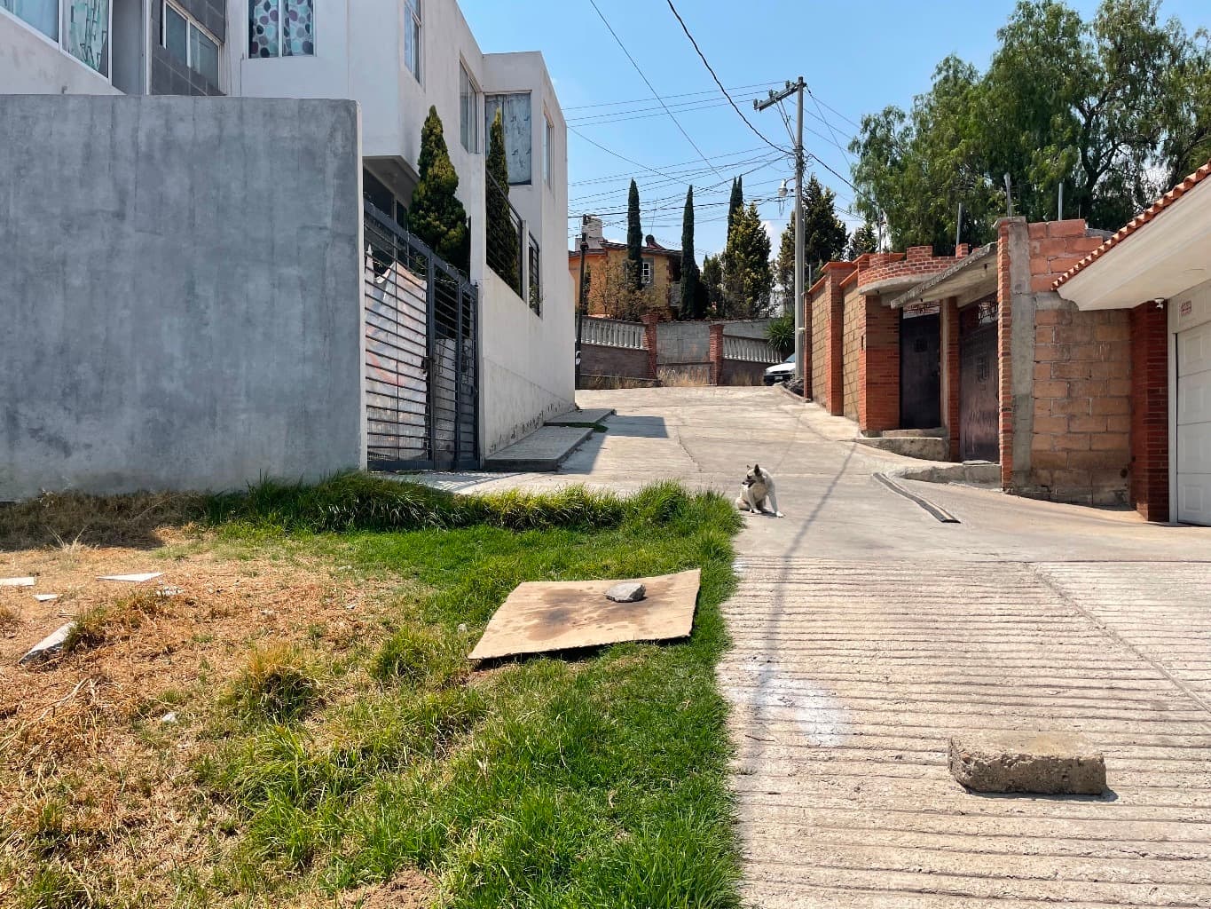 image-3