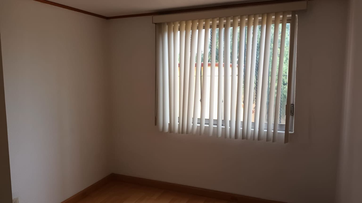 image-19