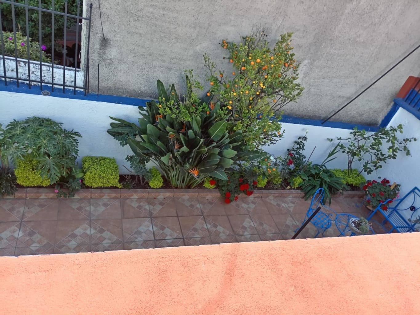 image-22