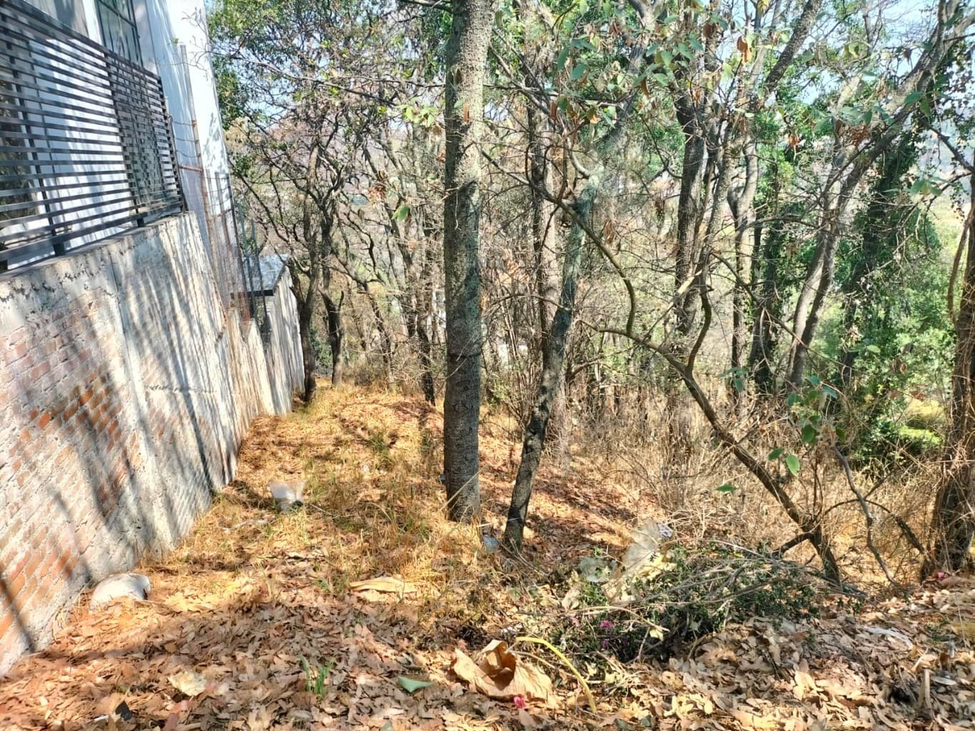 image-2