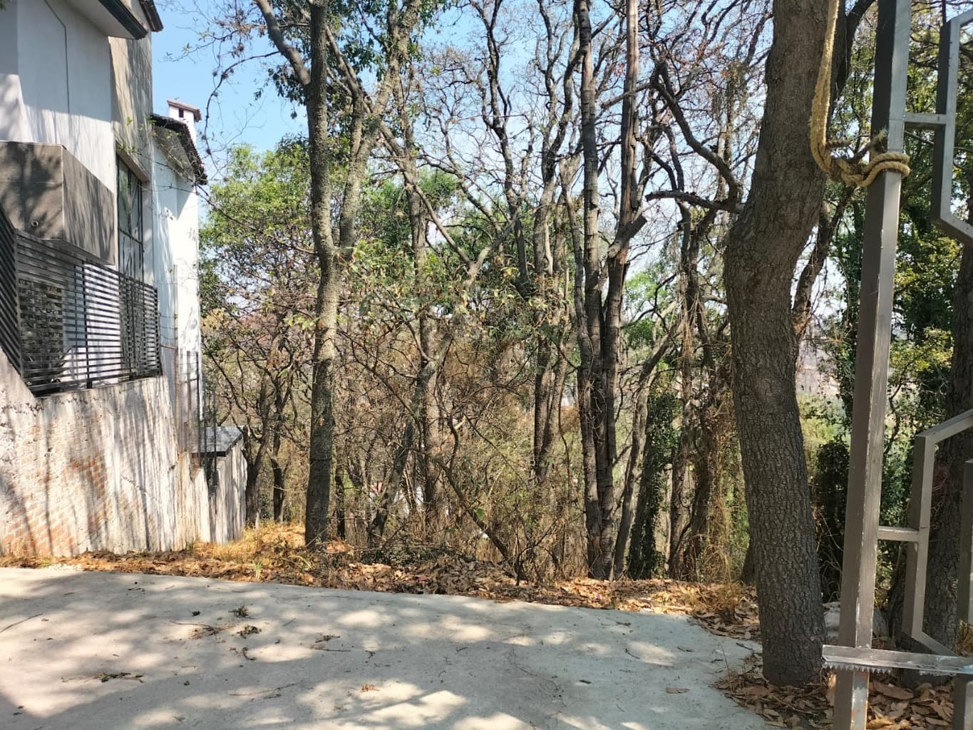 image-6