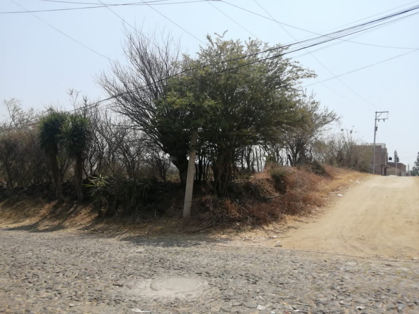 image-0