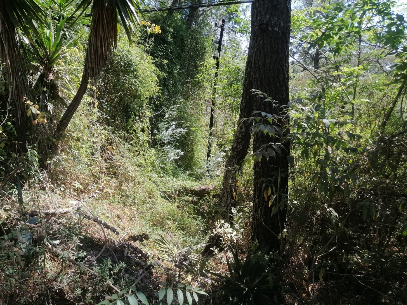image-3