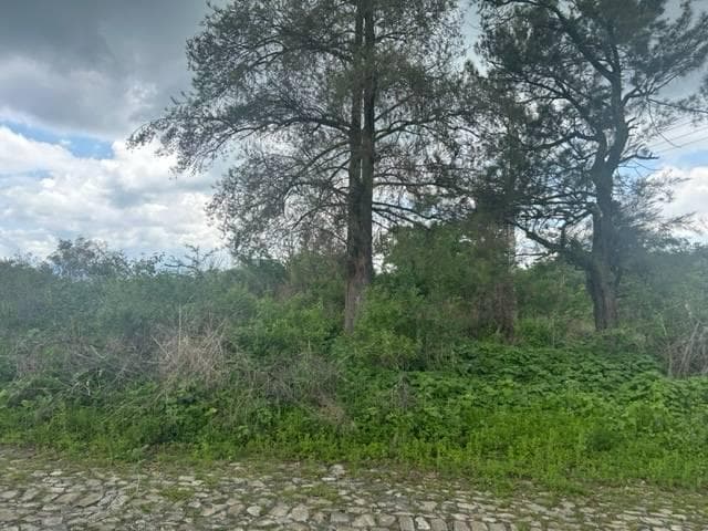 image-0