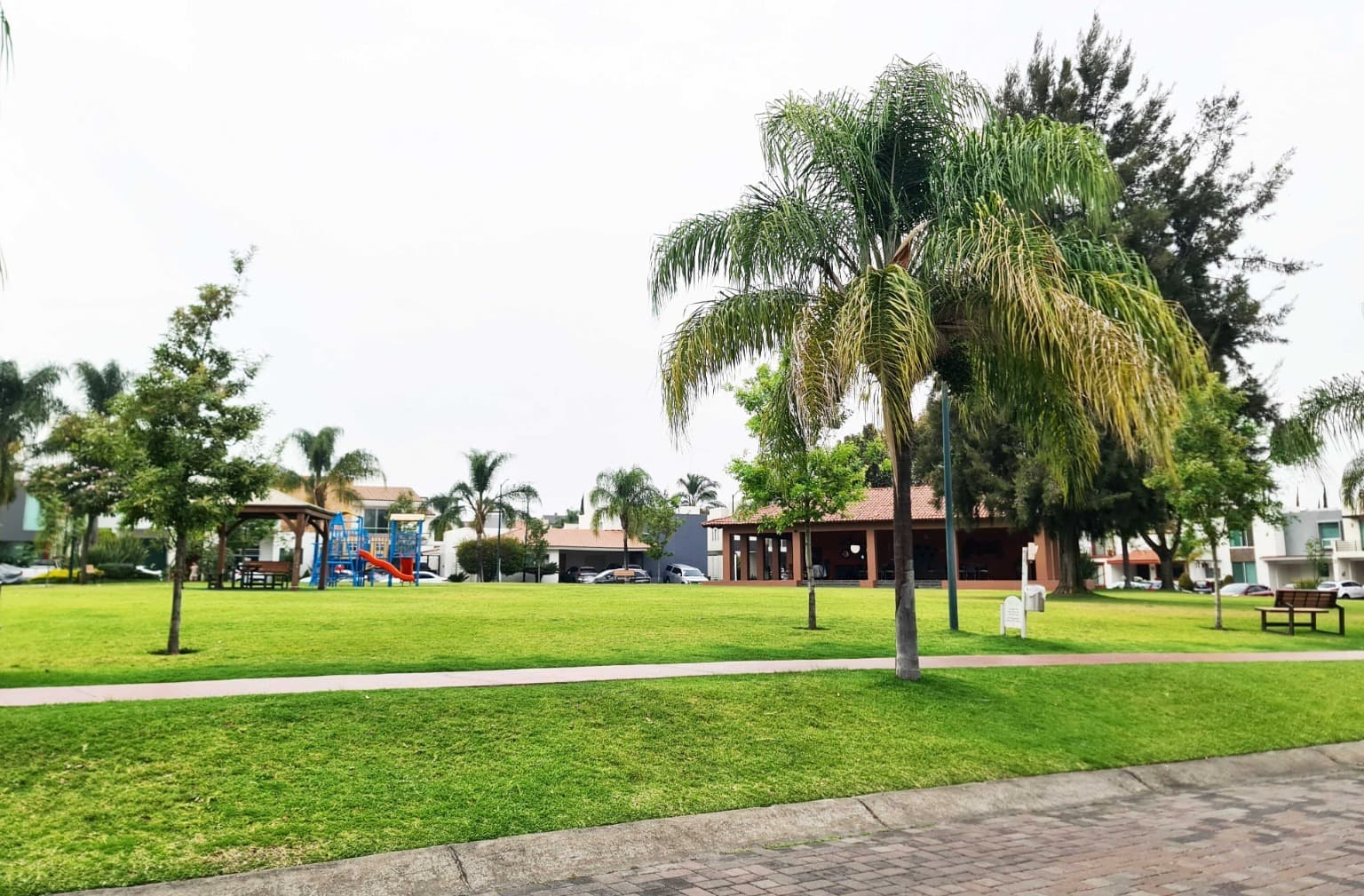 image-20