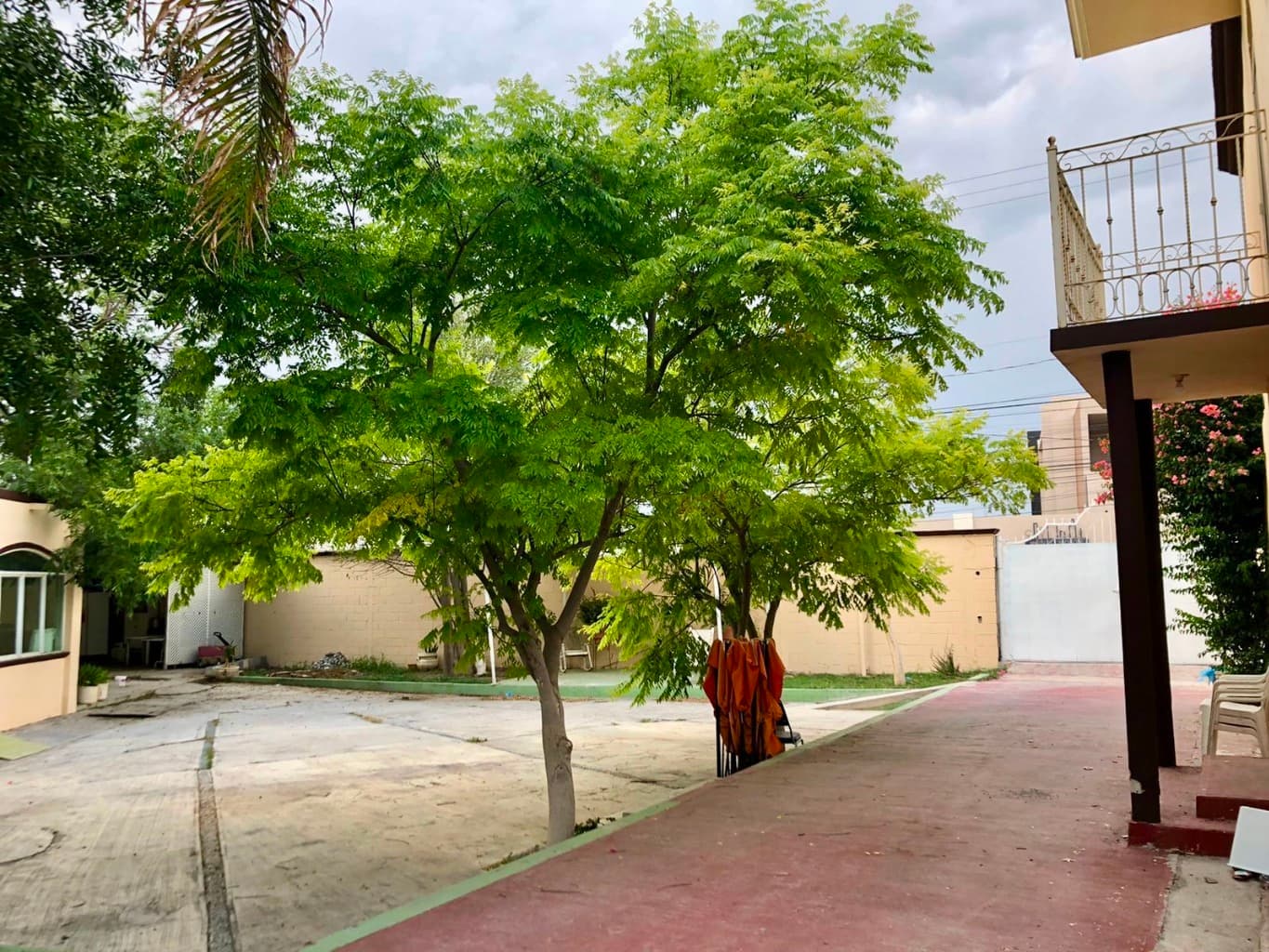 image-12